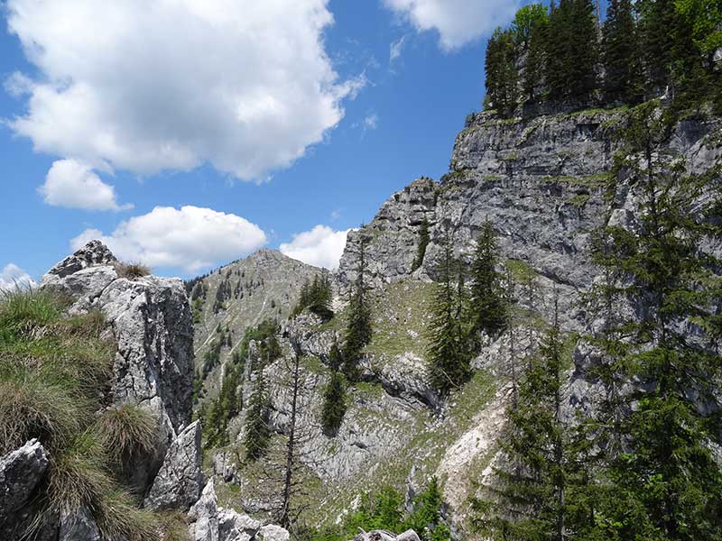Bärensteinmauer
